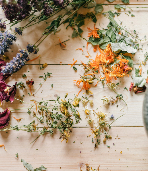 Healin Sonipat 9254973305